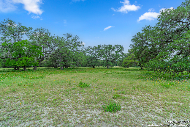 0 School St & San Antonio Property Photo 45