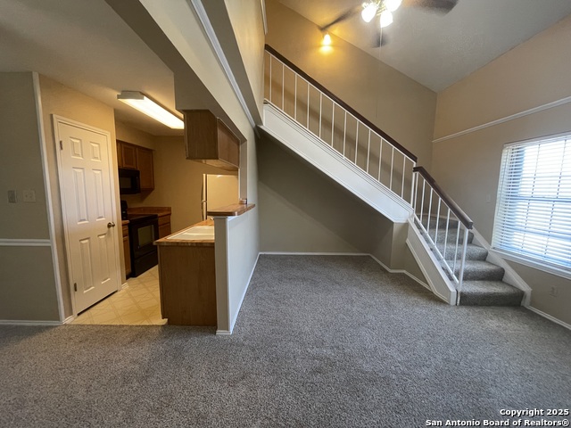 11610 Vance Jackson Property Photo 2