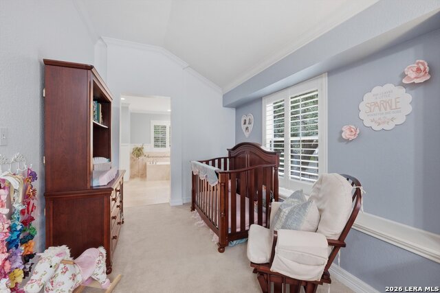 4509 Ridge Peak Dr Property Photo 11