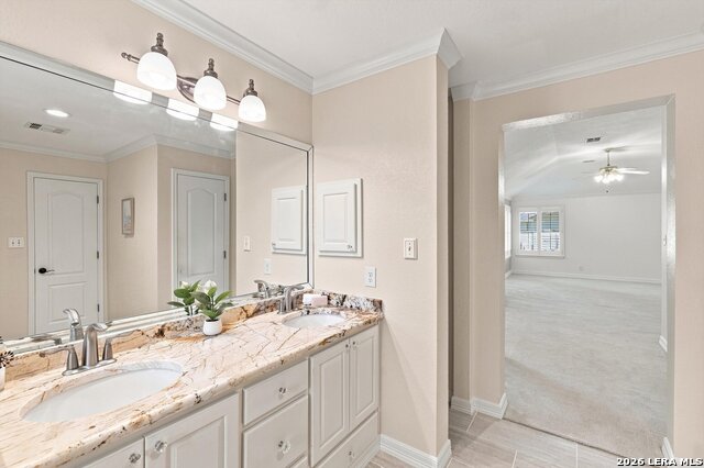 4509 Ridge Peak Dr Property Photo 13