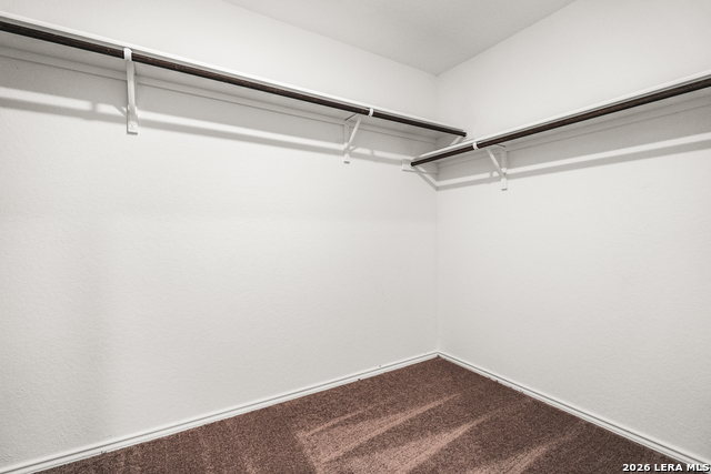 907 Stricker Path Property Photo 22