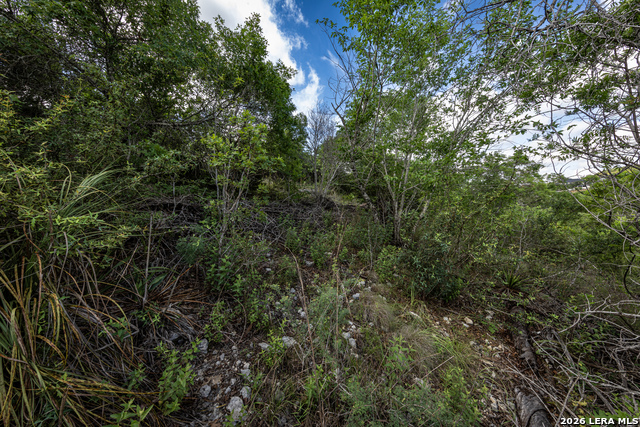 10835 Nina Rdg Property Photo 18