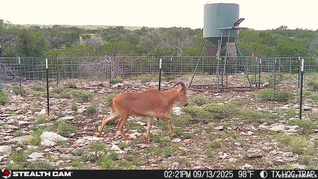 0 W Cooper Rd Property Photo 40