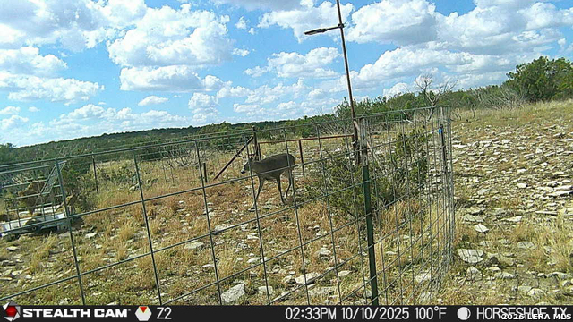 0 W Cooper Rd Property Photo 41