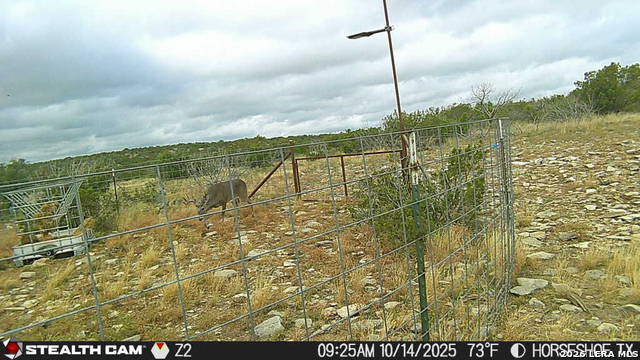 0 W Cooper Rd Property Photo 42