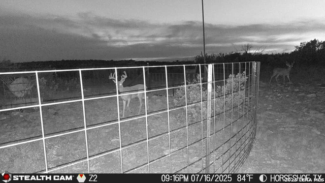 0 W Cooper Rd Property Photo 44