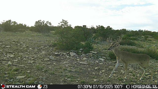 0 W Cooper Rd Property Photo 45