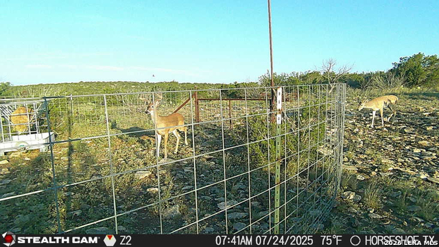 0 W Cooper Rd Property Photo 46