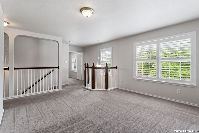 711 Chamomile Property Photo 19