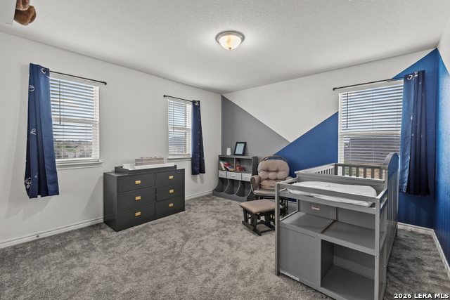 3366 Taurus Sky Property Photo 16