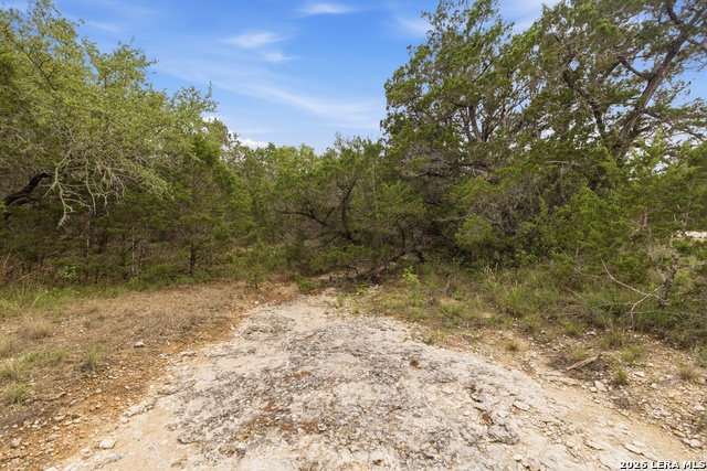 290/tbd Madrona Dr/ Madrona Pass Property Photo 4