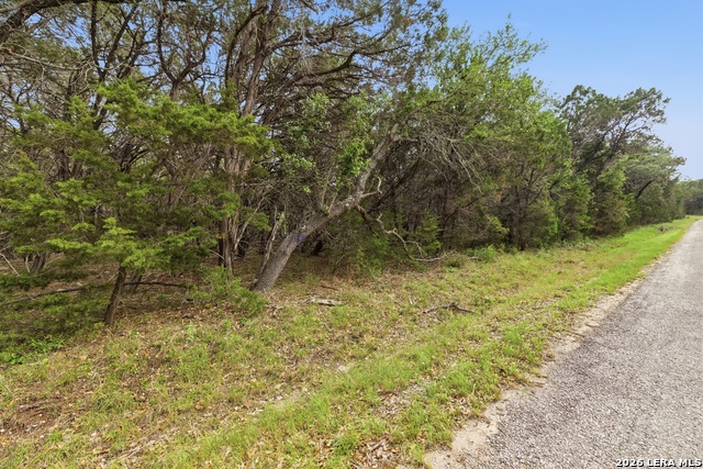 290/tbd Madrona Dr/ Madrona Pass Property Photo 6