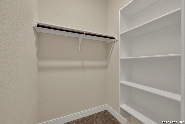 13903 Cool Dawn Property Photo 37