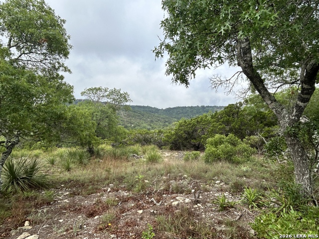 239 ESTANCIA LN Property Photo 1