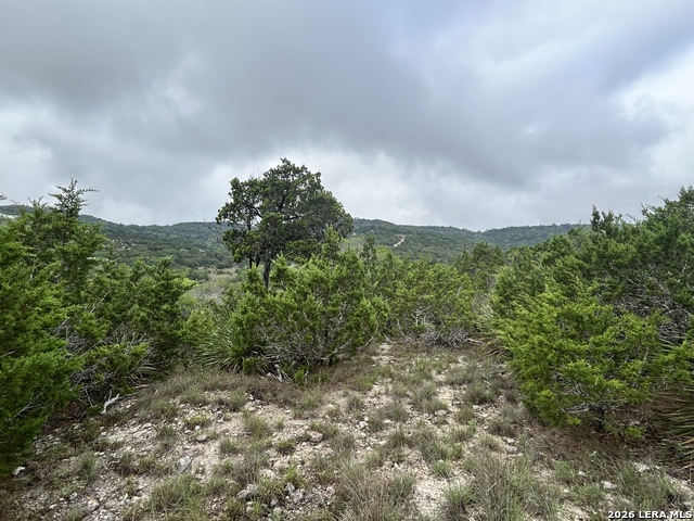 239 Estancia Ln Property Photo 10