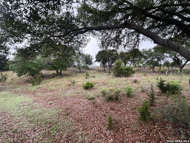 239 Estancia Ln Property Photo 11