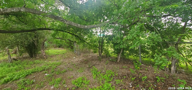 354 Bundy Property Photo 7