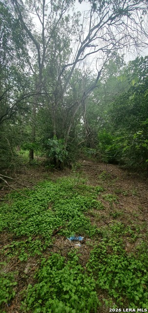 354 Bundy Property Photo 10