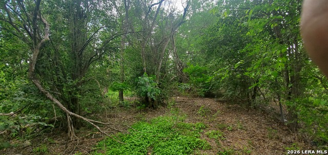 354 Bundy Property Photo 11