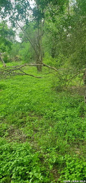 354 Bundy Property Photo 13