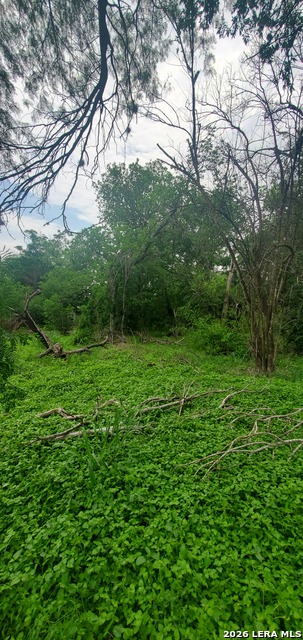 354 Bundy Property Photo 14