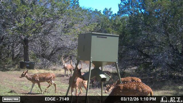 Tract 2 Elm Pass Property Photo 3