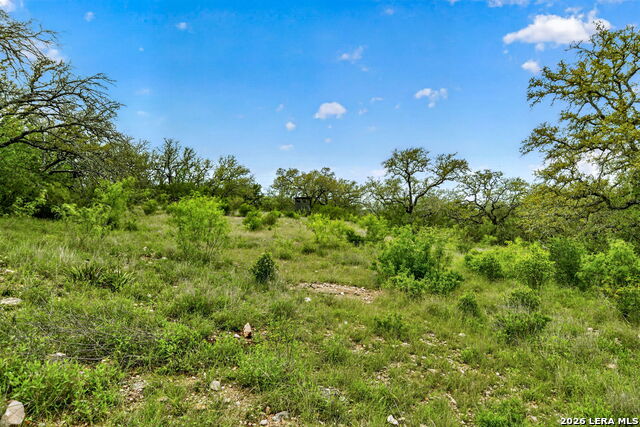 Tbd Fm 1796 Property Photo 1