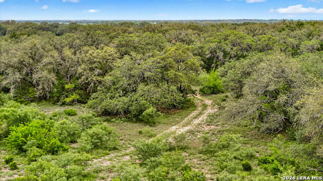 Tbd Fm 1796 Property Photo 2
