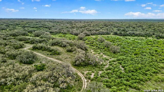 Tbd Fm 1796 Property Photo 3