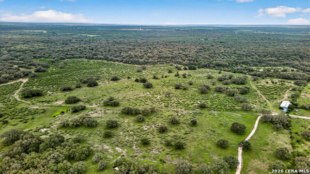 Tbd Fm 1796 Property Photo 5