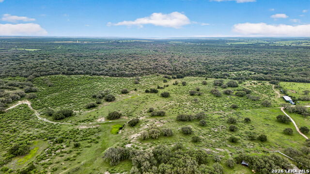 Tbd Fm 1796 Property Photo 6
