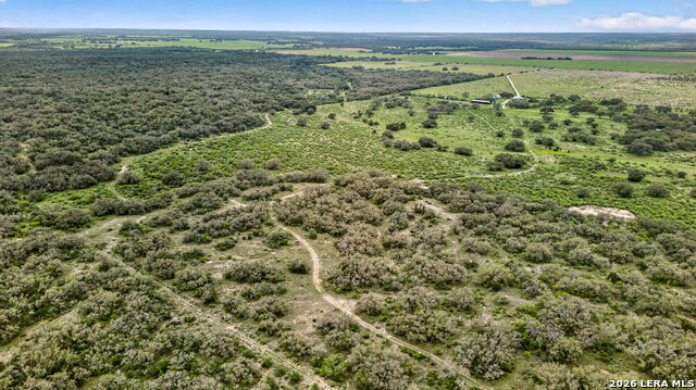 Tbd Fm 1796 Property Photo 10
