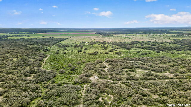Tbd Fm 1796 Property Photo 12