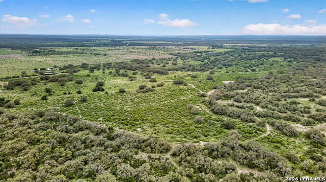 Tbd Fm 1796 Property Photo 14