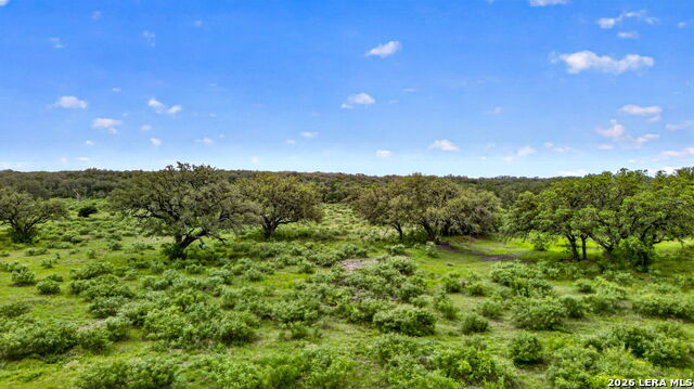 Tbd Fm 1796 Property Photo 19
