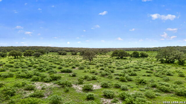 Tbd Fm 1796 Property Photo 20