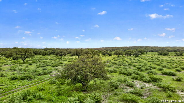 Tbd Fm 1796 Property Photo 21