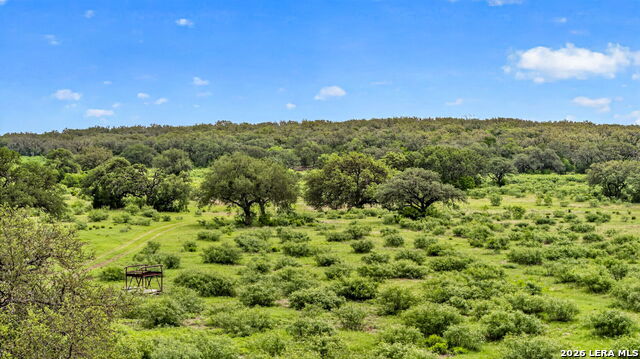 Tbd Fm 1796 Property Photo 22