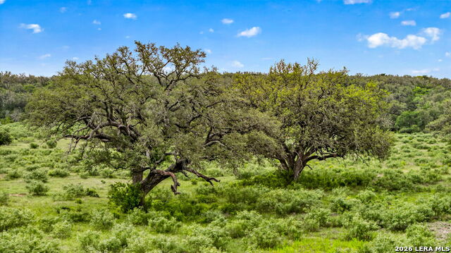 Tbd Fm 1796 Property Photo 24