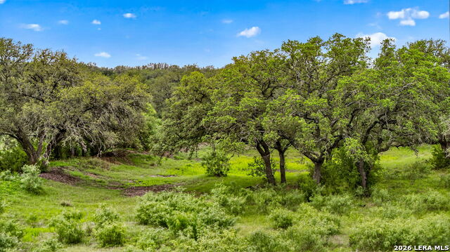 Tbd Fm 1796 Property Photo 25