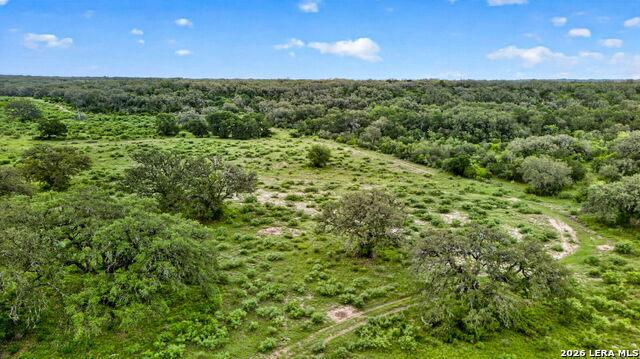 Tbd Fm 1796 Property Photo 26