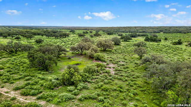 Tbd Fm 1796 Property Photo 27
