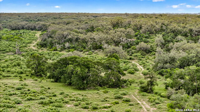 Tbd Fm 1796 Property Photo 28
