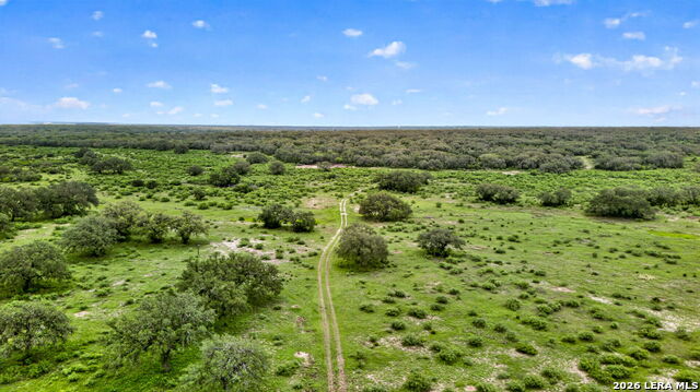 Tbd Fm 1796 Property Photo 30