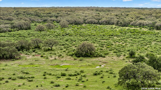 Tbd Fm 1796 Property Photo 31