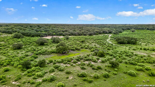 Tbd Fm 1796 Property Photo 32