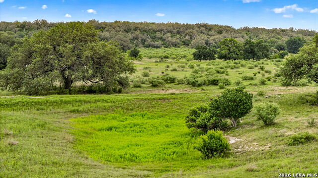 Tbd Fm 1796 Property Photo 33