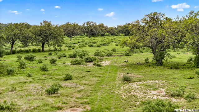 Tbd Fm 1796 Property Photo 34