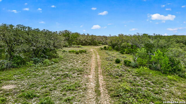 Tbd Fm 1796 Property Photo 36