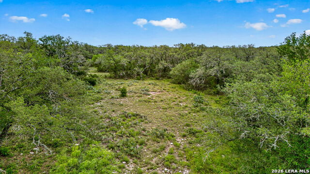 Tbd Fm 1796 Property Photo 37